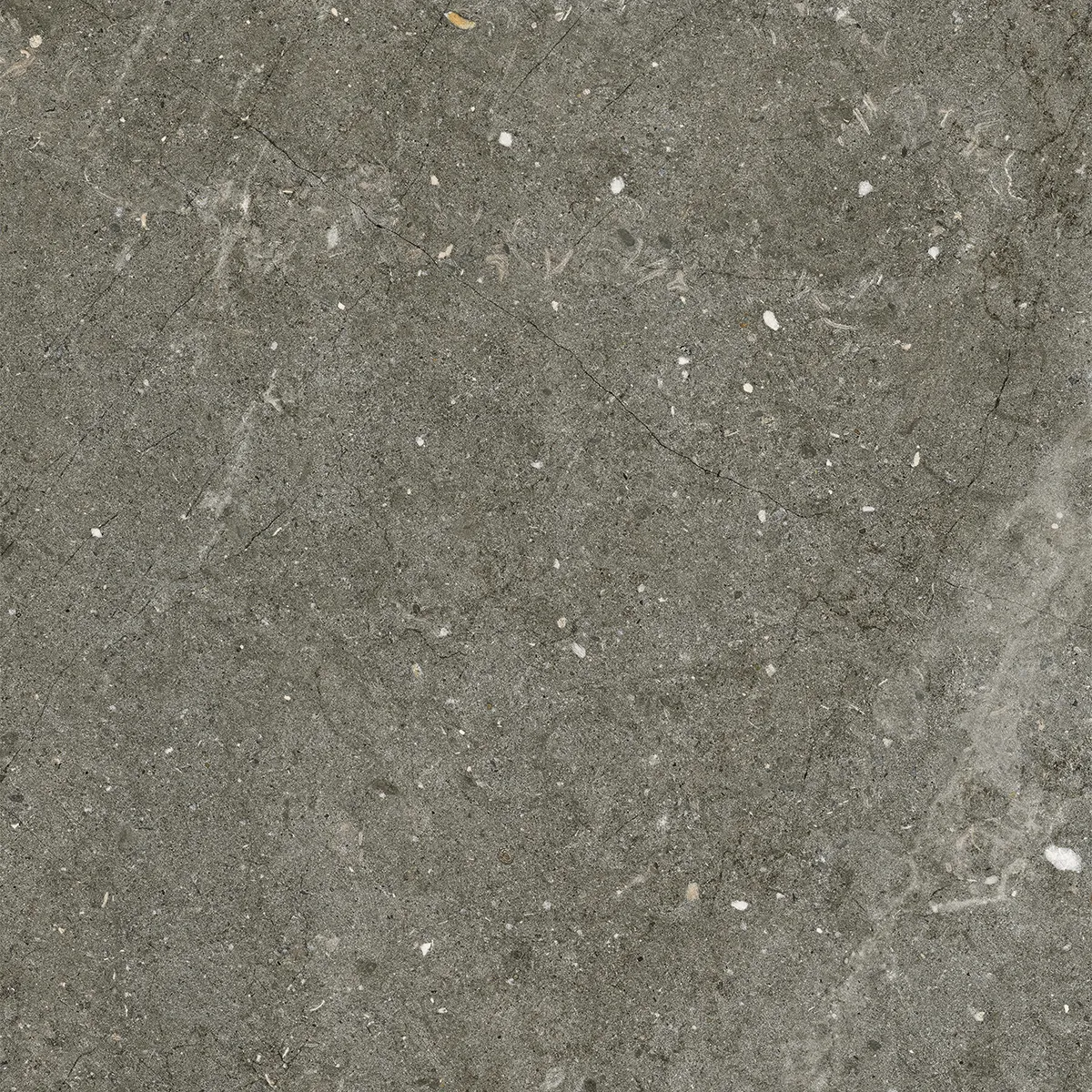 Pietrepure Vicenza Matt 60/60/2cm